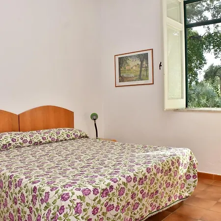Alga Country house