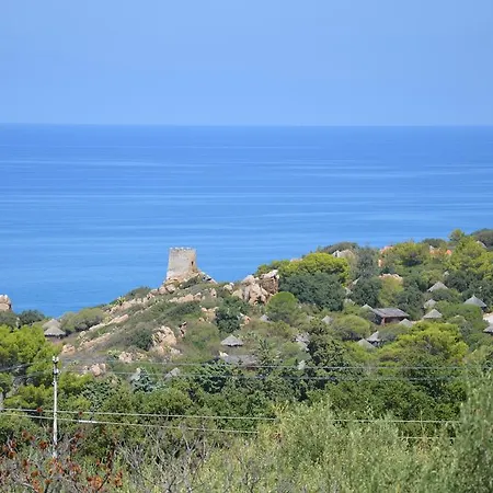 Alga Cefalu