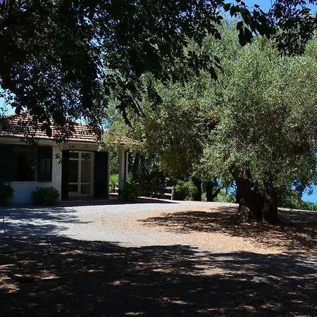Alga Country house *